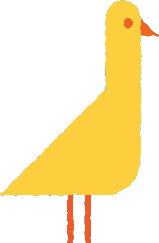 Sarı kuş